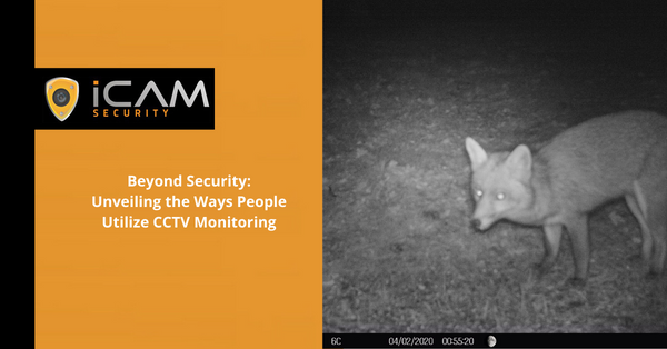 Beyond Security: Unveiling the Ways People Utilize CCTV Monitoring